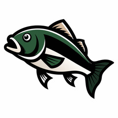 Bass Colorful On White Background