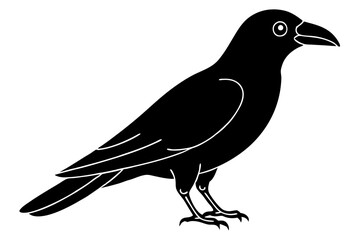 Crow bird silhouette vector