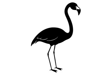 Flamingo bird silhouette vector