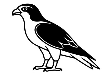 Hawk bird silhouette vector