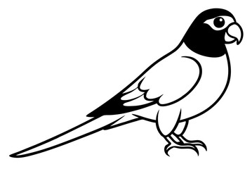 Parrot bird silhouette vector