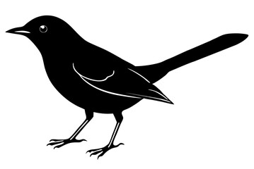 Nightingale bird silhouette vector