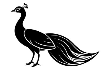 Peacock bird silhouette vector