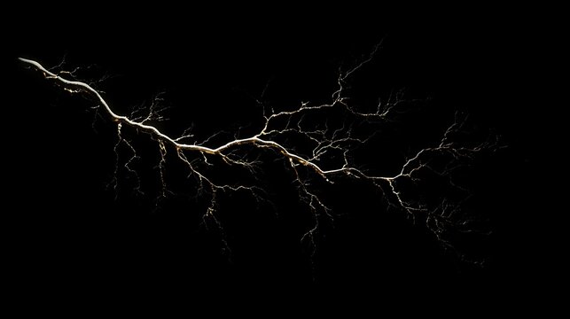 Lightning strike isolated on black background rendering computer digital drawing