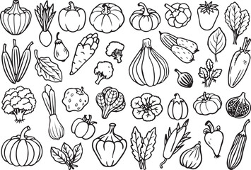 Fototapeta premium Black and white line art Silhouette vegetables vector doodle art in white background