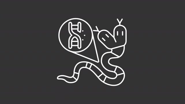 Genetic mutation white line animation. Reptile biology animated icon. Moving tongues, tail. Anatomy, microbiology. Isolated illustration on dark background. Transition alpha video. Motion graphic