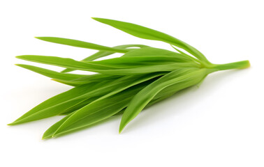 Green vegetables on white background perfect for culinary, herbal.