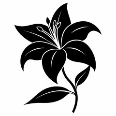 Lily Serenity black silhouette vector