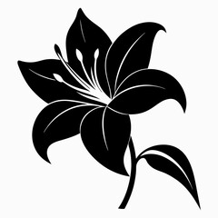 Lily Serenity black silhouette vector