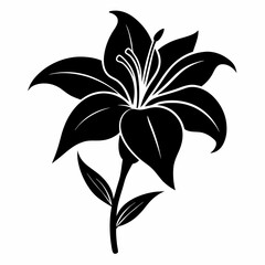 Lily Serenity black silhouette vector