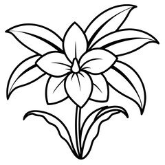 Orchid Oasis line art art vector