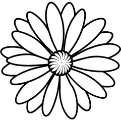 Daisy Delight line art art vector