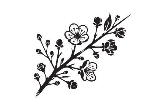 black and white cherry blossom branch clip art preview