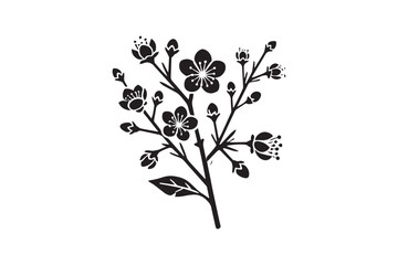 simple black an white sakura brunch flower vector silhouette isolated on a white background
