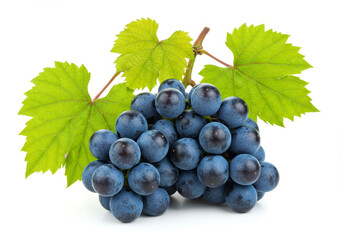 Fototapeta premium Blue grape cluster with leaves isolated on white background
