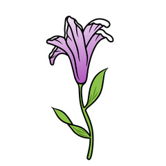 A sprig of purple flower isolated on a white background