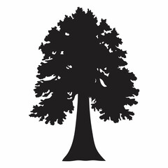 Redwood Tree Silhouette Black Art
