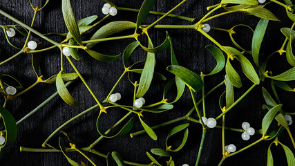 Green mistletoe branches with white berries on black wooden background, top view. Can be used as banner, wallpaper, background, postcard, abstract plant background.