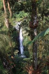 Fototapeta premium The majestic Kedung Kayang Waterfall in Magelang, Central Java, Indonesia, offers a perfect escape into nature.