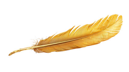 Elegant Gold Quill on transparent background PNG.