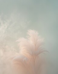 Obraz premium Soft Focus Color Gradients with Diffused Lighting