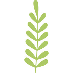 leaf design element on transparent background