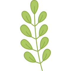 leaf design element on transparent background