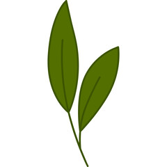 leaf design element on transparent background