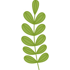 leaf design element on transparent background