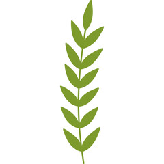 leaf design element on transparent background