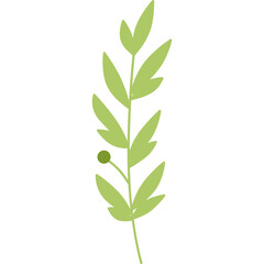 leaf design element on transparent background