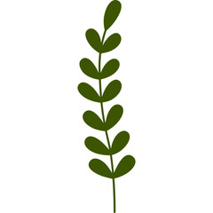 leaf design element on transparent background