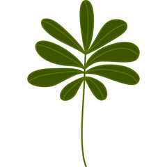 leaf design element on transparent background