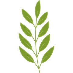 leaf design element on transparent background