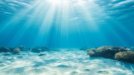 Fototapeta premium Pristine Underwater Environment with Natural Light