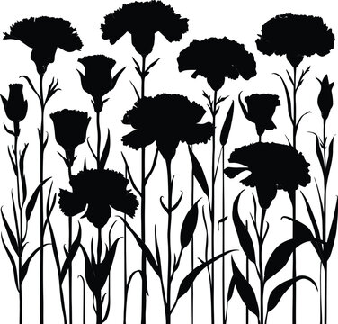 black carnations silhouette on white background clip art preview