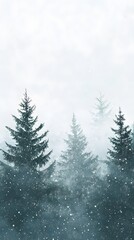 snow covered fir tree for background or wallpaper