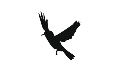 Flying Sunbird Silhouette Design  And Vector Illustration. 