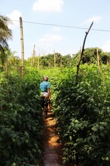 fishing in the river