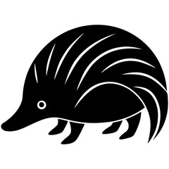 Echidna minimalist simple vector art illustration
