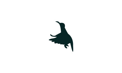 Flying Sunbird Silhouette Design  And Vector Illustration. 
