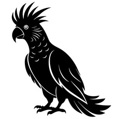 Cockatoo Silhouette vector illustration