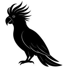 Cockatoo Silhouette vector illustration