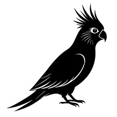 Cockatiel Silhouette vector illustration