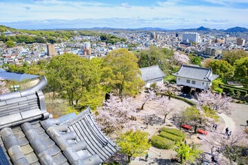犬山市、犬山城の天守閣から眺める満開の桜と犬山の街並み