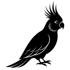 Cockatiel Silhouette vector illustration