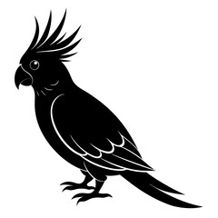 Cockatiel Silhouette vector illustration