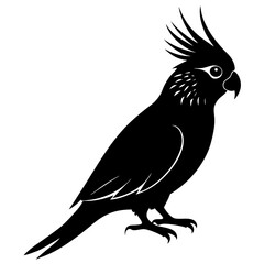 Cockatiel Silhouette vector illustration
