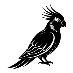 Fototapeta premium Cockatiel Silhouette vector illustration