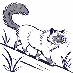 Obraz premium A detailed vector illustration of a Himalayan cat walking and observing, perfect for animal lovers and design projects.